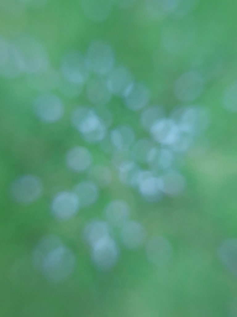 Free abstract green background image